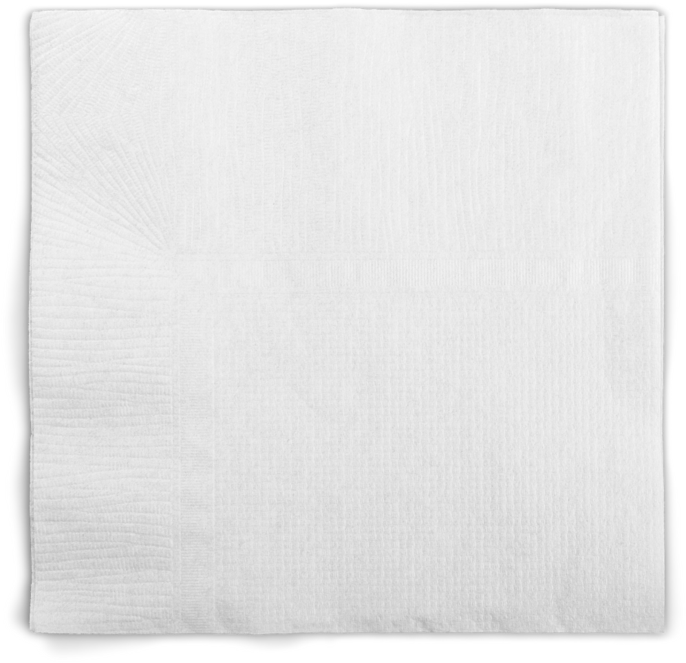 Blank Paper Napkin